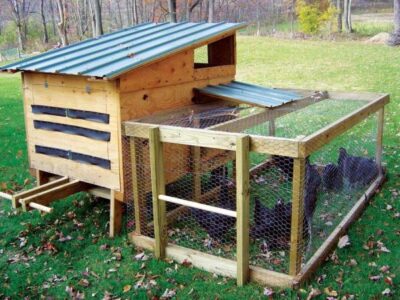 Country Lore: DIY Portable Chicken Coops Image